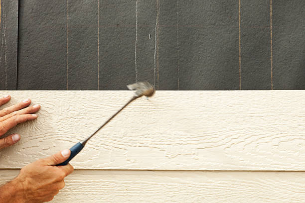 Best Siding Removal and Disposal  in Lyndon, KY
